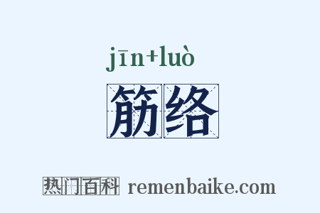 筋络是什么意思的图片